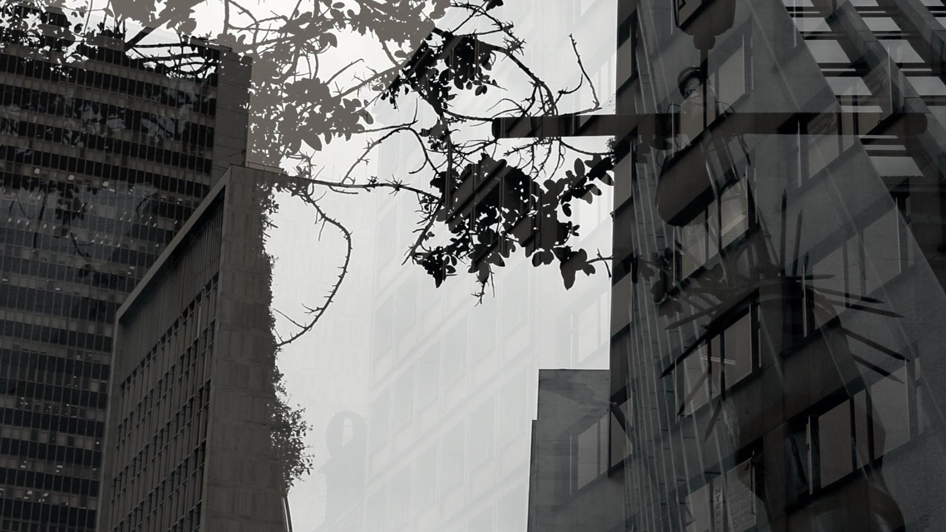 Video Arte. Viva la Música